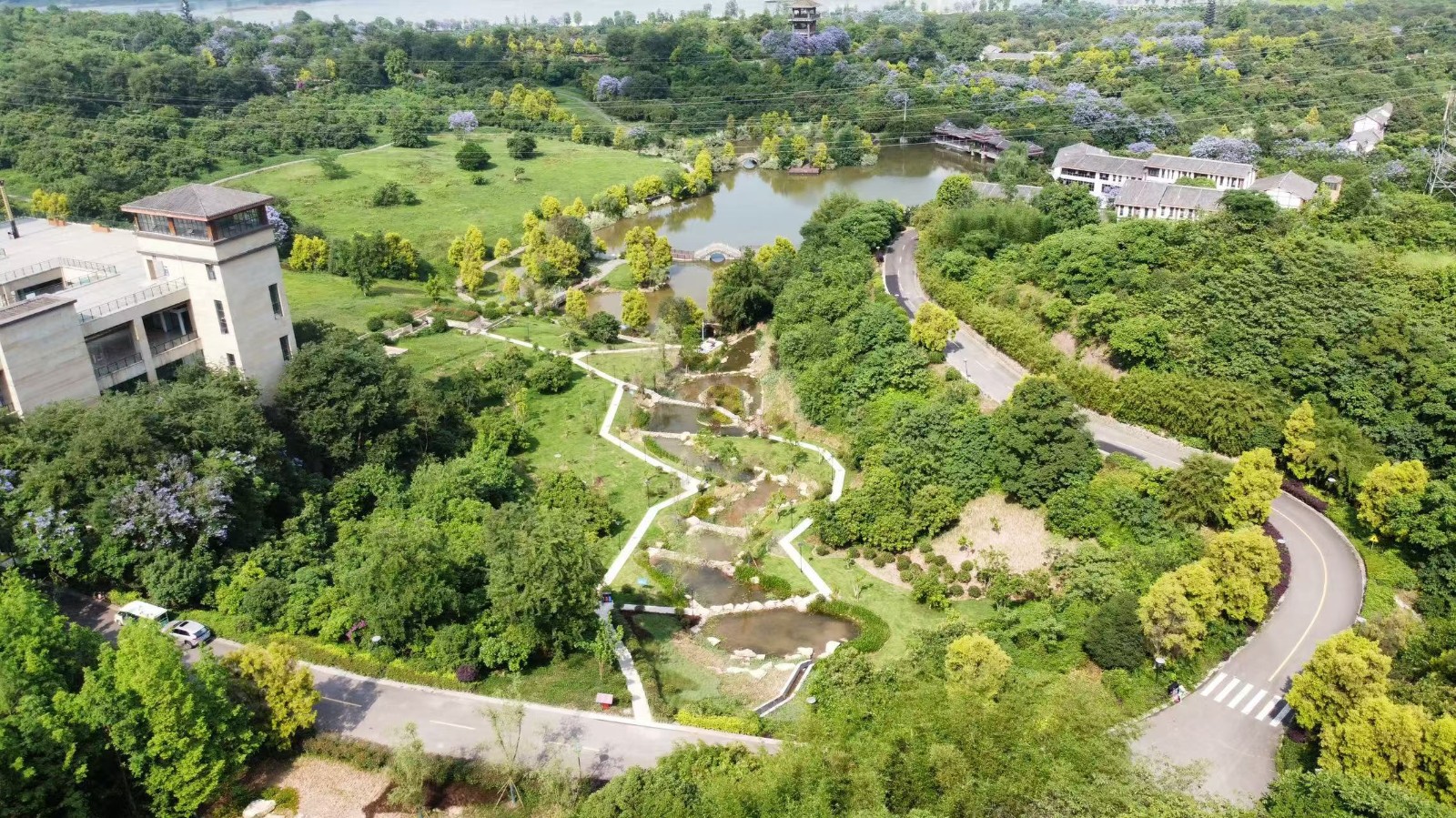 2026世界杯园林绿化维护